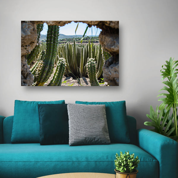 Cactussen in het landschap poster