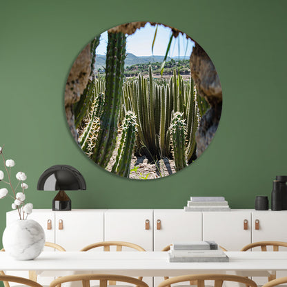 Cactussen in het landschap aluminium muurcirkel