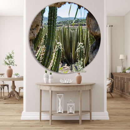 Cactussen in het landschap aluminium muurcirkel