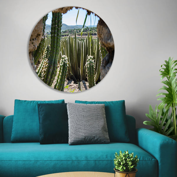 Cactussen in het landschap aluminium muurcirkel