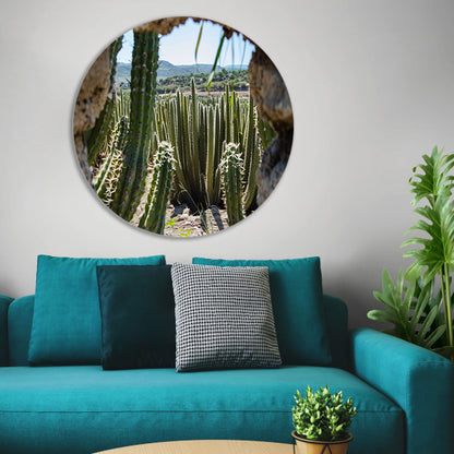 Cactussen in het landschap aluminium muurcirkel