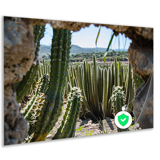Cactussen in het landschap poster