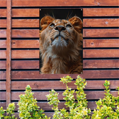 Majestueuze leeuw met intense blik omhoog tuinposter