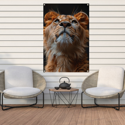 Majestueuze leeuw met intense blik omhoog tuinposter