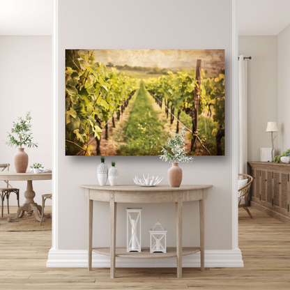 Wijngaard in sepia - Stille getuige van tijd canvas met baklijst