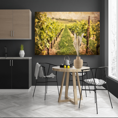 Wijngaard in sepia - Stille getuige van tijd canvas met baklijst