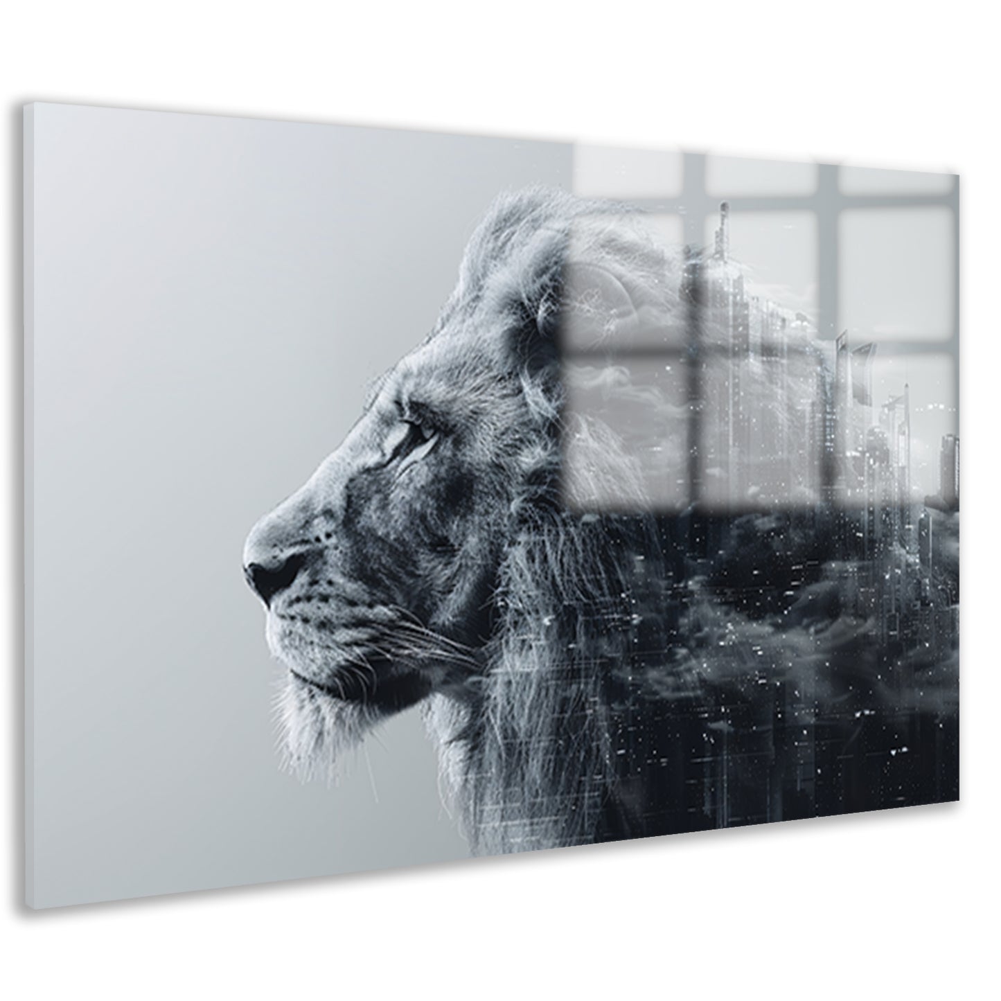 Minimalistisch Lijnen Compositie acrylglas