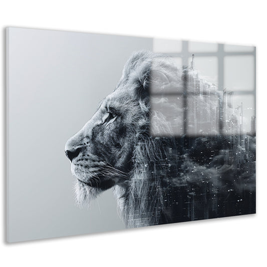 Minimalistisch Lijnen Compositie acrylglas