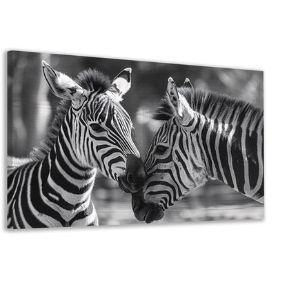 Intiem moment tussen twee zebras canvas