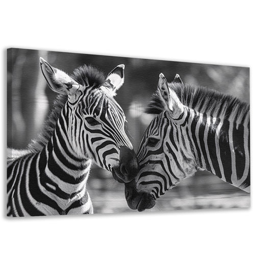 Intiem moment tussen twee zebras canvas