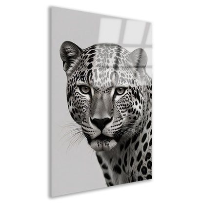 Luipaards Gelaat in Schaduw en Licht acrylglas