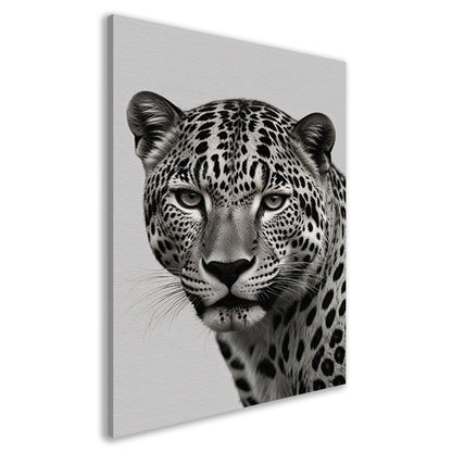 Luipaards Gelaat in Schaduw en Licht canvas
