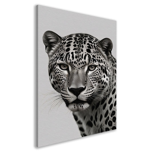 Luipaards Gelaat in Schaduw en Licht canvas