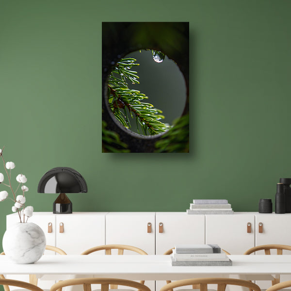 Dennennaalden met regendruppels in close-up acrylglas