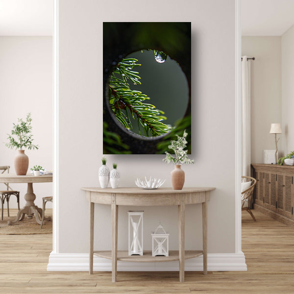 Dennennaalden met regendruppels in close-up acrylglas