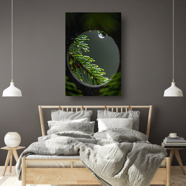 Dennennaalden met regendruppels in close-up acrylglas