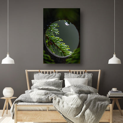 Dennennaalden met regendruppels in close-up acrylglas
