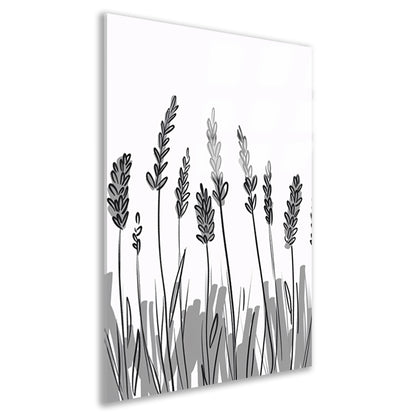 Minimalistische zwart-wit lavendel tekening acrylglas