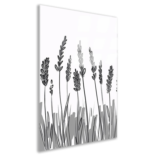 Minimalistische zwart-wit lavendel tekening acrylglas