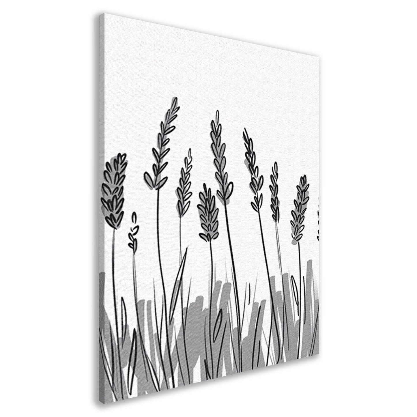 Minimalistische zwart-wit lavendel tekening canvas