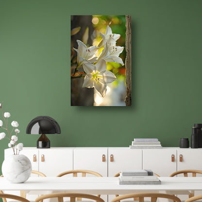 Witte lelies in de zomerzon acrylglas