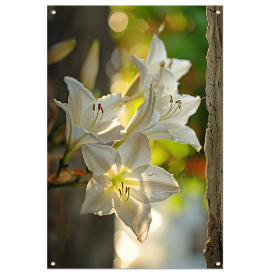 Witte lelies in de zomerzon tuinposter