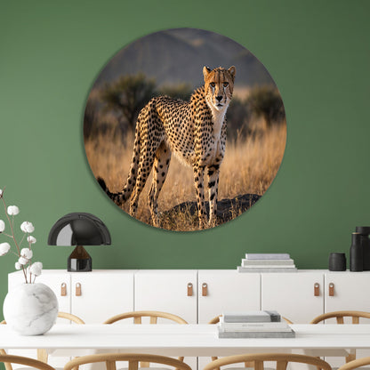 Prachtige cheeta in zijn natuurlijke omgeving aluminium muurcirkel