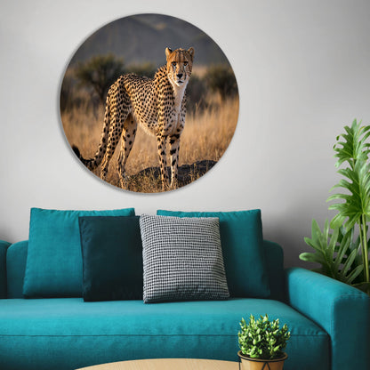 Prachtige cheeta in zijn natuurlijke omgeving aluminium muurcirkel