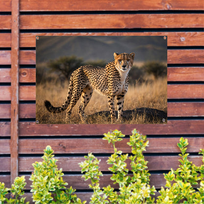 Prachtige cheeta in zijn natuurlijke omgeving tuinposter