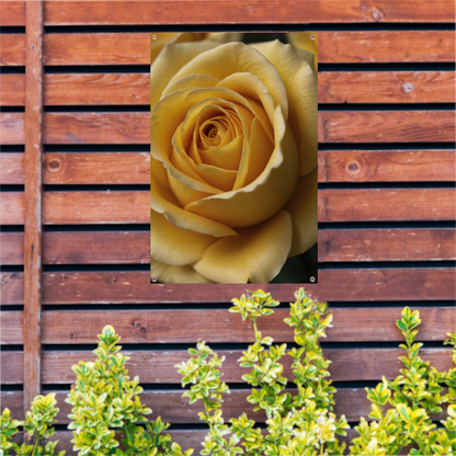 Close-up Gele Roos met Dauwdruppels tuinposter