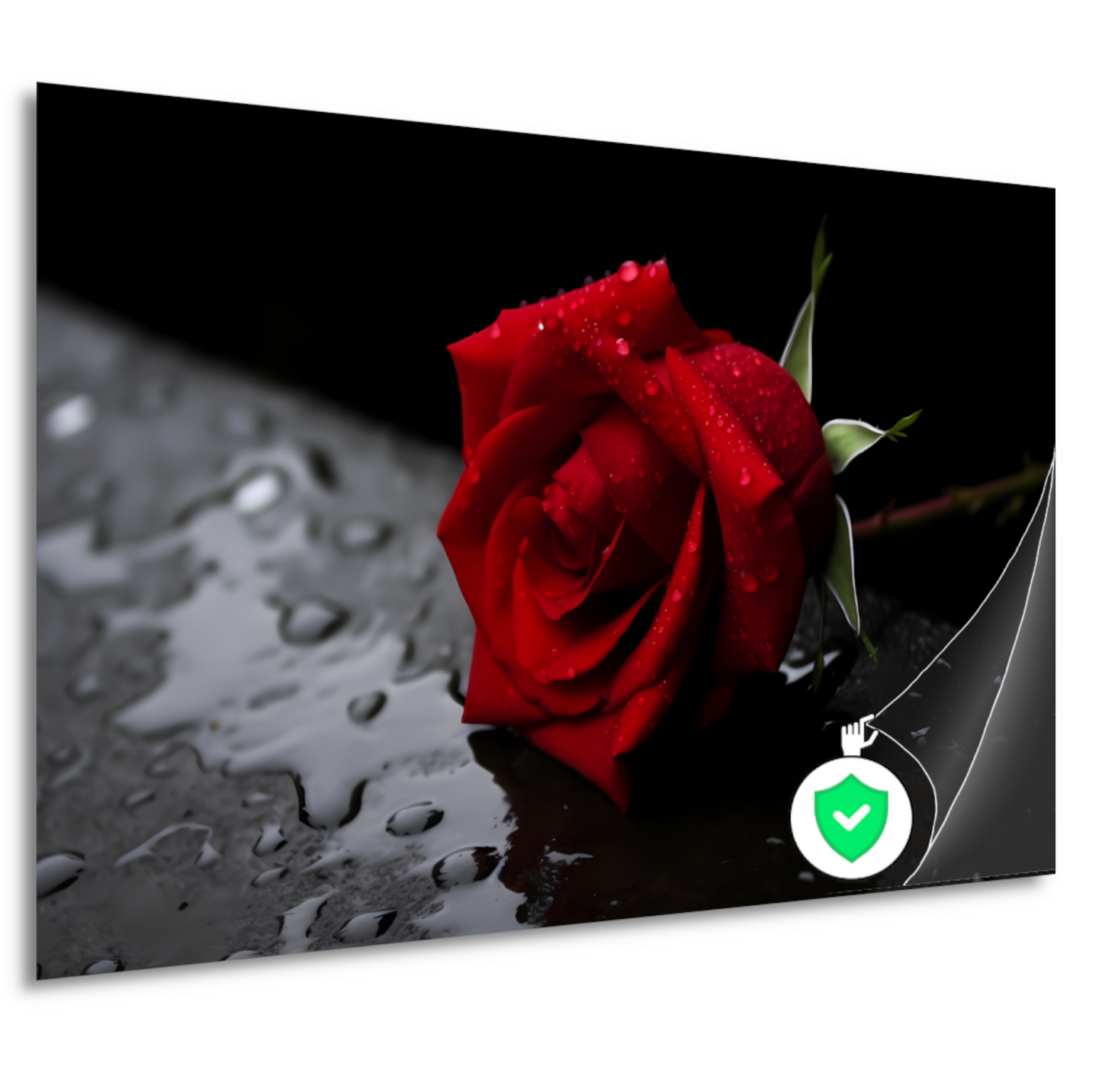 Rode roos met waterdruppels poster