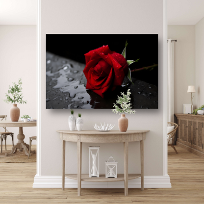 Rode roos met waterdruppels canvas