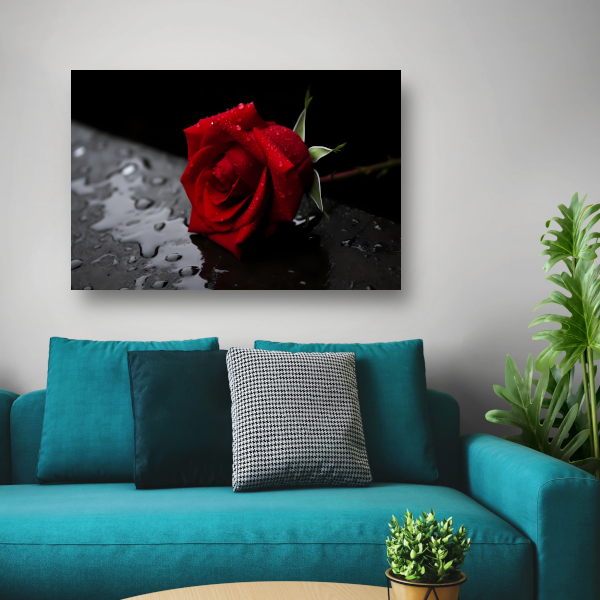 Rode roos met waterdruppels canvas