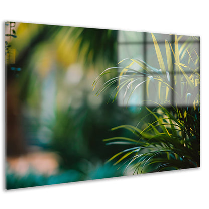 Natuurlijke groene bladeren in zachte focus acrylglas