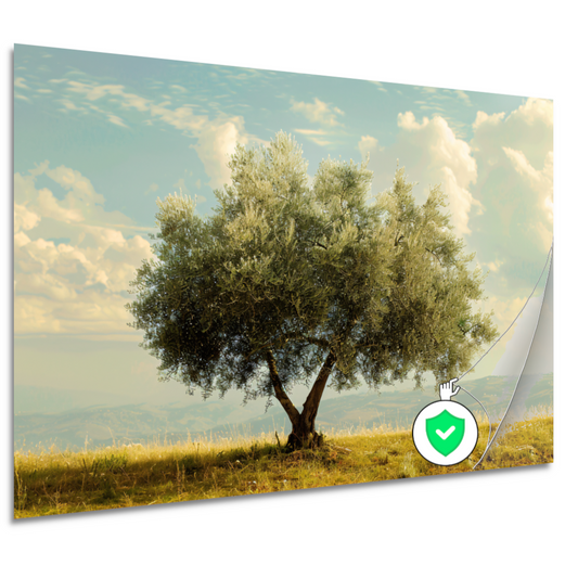Eenzame boom in een veld poster