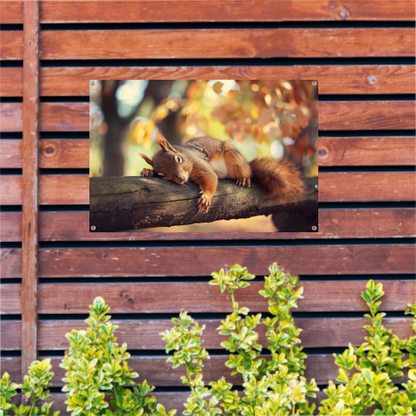 Eekhoorn geniet van herfstige rust tuinposter
