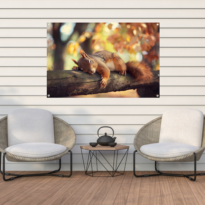 Eekhoorn geniet van herfstige rust tuinposter