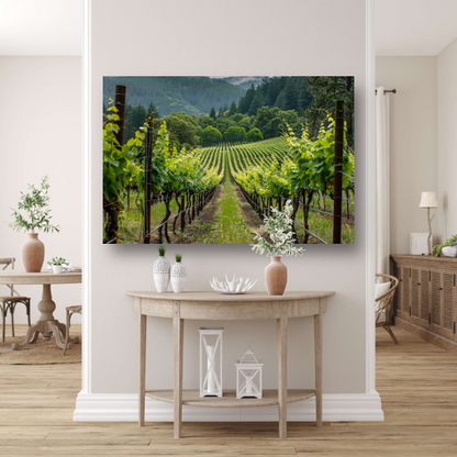Wijngaard in de vallei met ochtendmist canvas