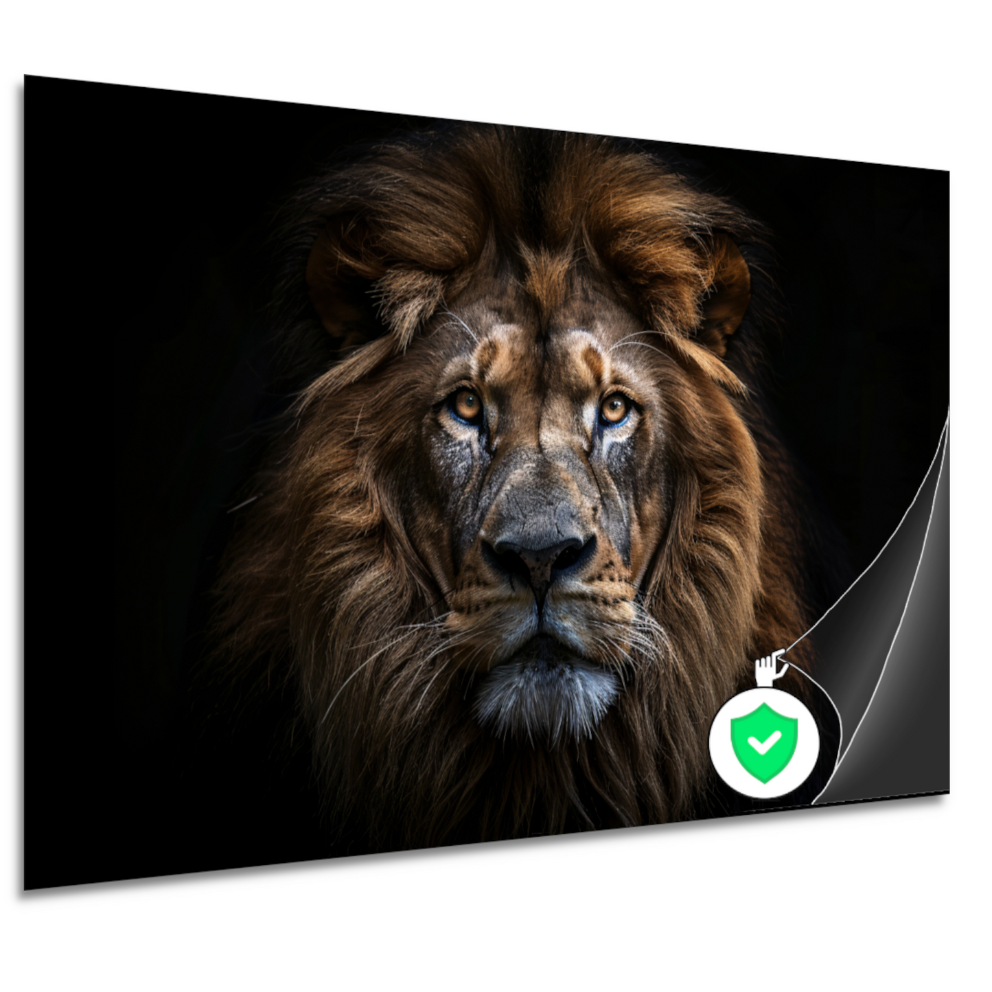 De trotse blik van de koning der dieren poster
