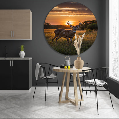 Majestueus hert bij prachtige zonsondergang aluminium muurcirkel