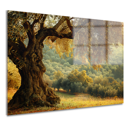 Impressionistische boom in bos acrylglas