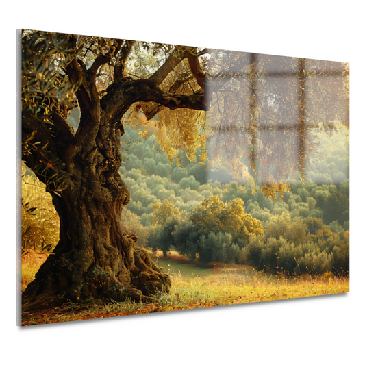 Impressionistische boom in bos acrylglas