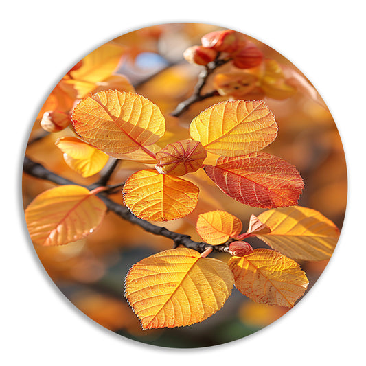 Herfstbladeren in Zonneschijn aluminium muurcirkel