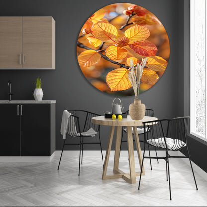 Herfstbladeren in Zonneschijn aluminium muurcirkel