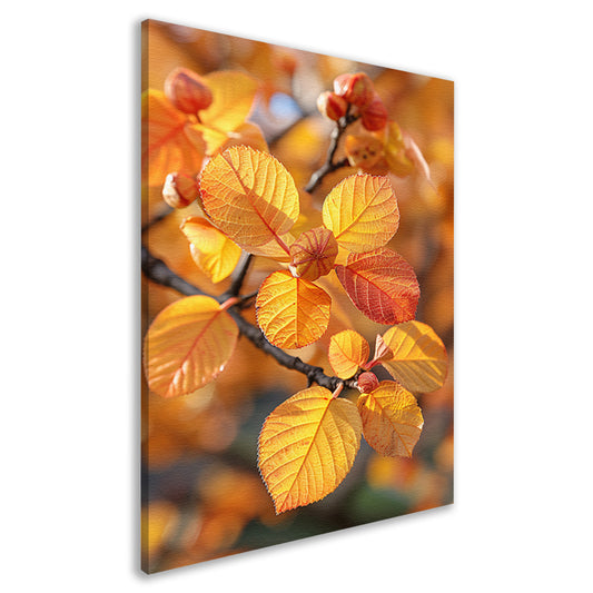 Herfstbladeren in Zonneschijn canvas