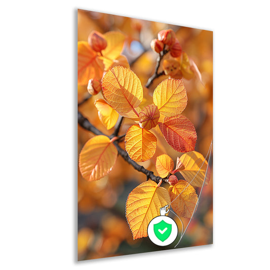 Herfstbladeren in Zonneschijn poster