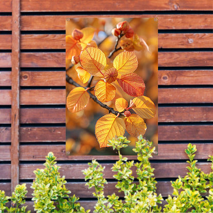 Herfstbladeren in Zonneschijn tuinposter