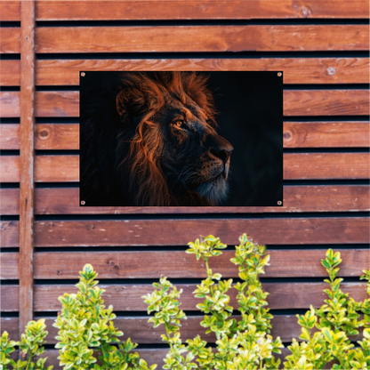 Leeuw in Schemerlicht met Gouden Manen tuinposter