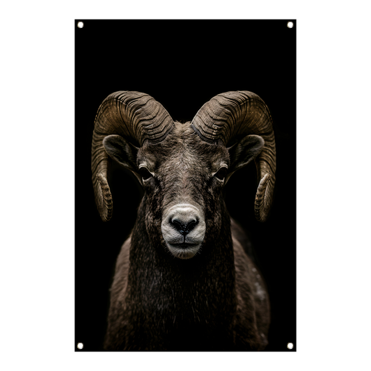 Krachtige close-up van een ram in zwart en wit tuinposter
