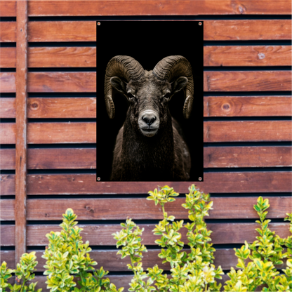 Krachtige close-up van een ram in zwart en wit tuinposter